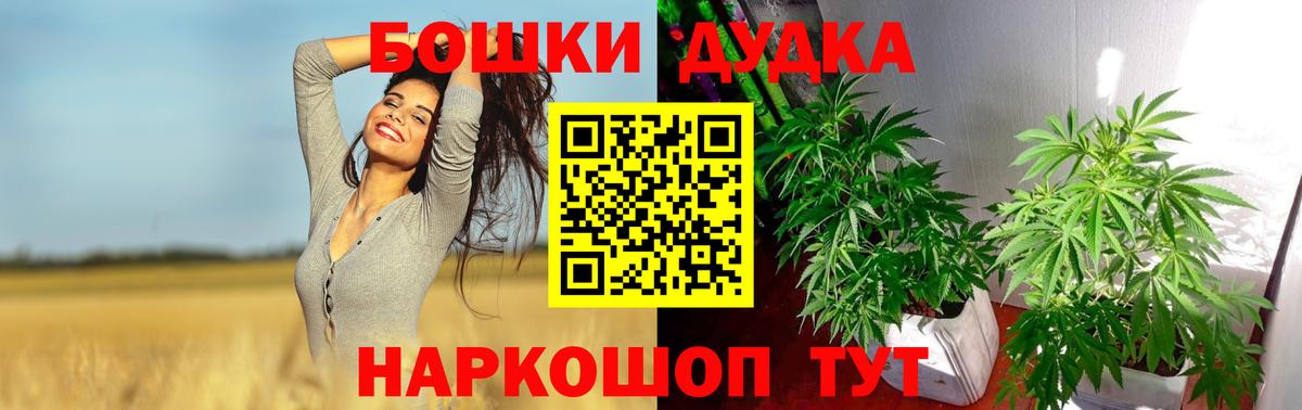 Бошки Шишки конопля Тамбов